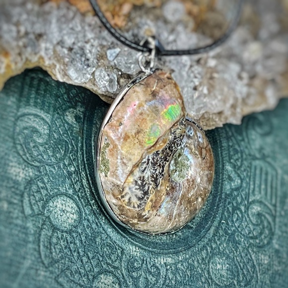 Ammonite Pendent Necklace - Picture 4 of 8